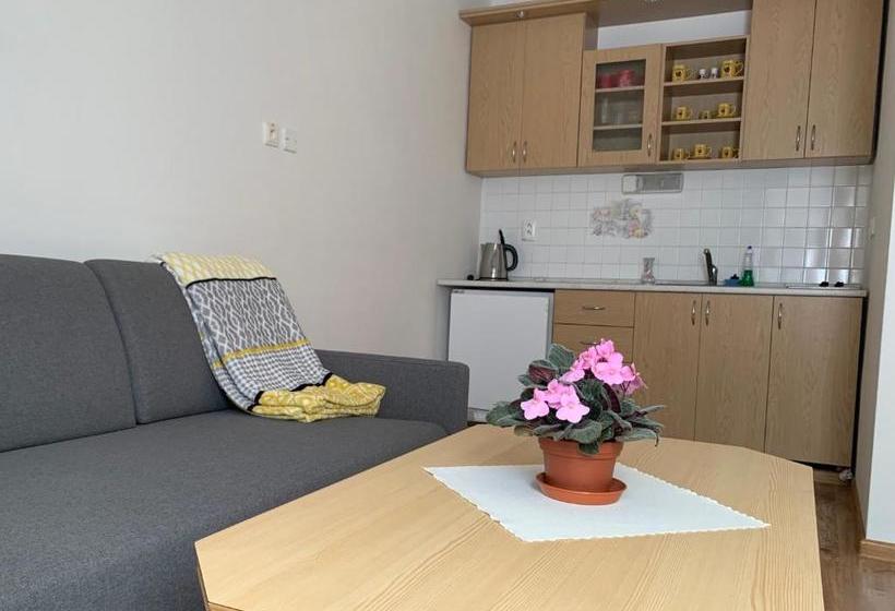 ペンション Penzion Centrum