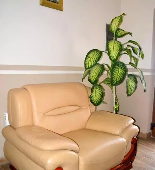 Majatalo Zlata Praha