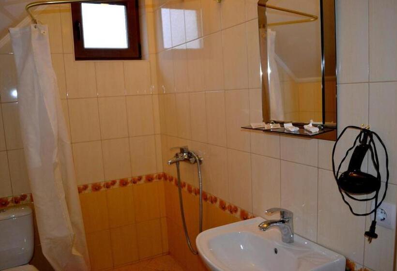 פנסיון Zlata Praha