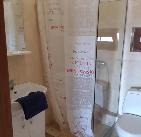 פנסיון Zlata Praha