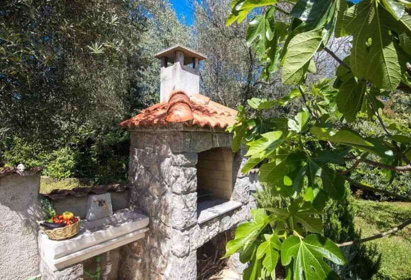 Apartment Josip Malin