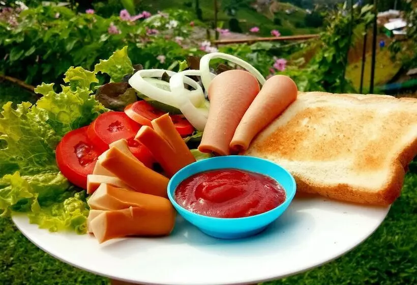 Majatalo Phu Fahsai Homestay