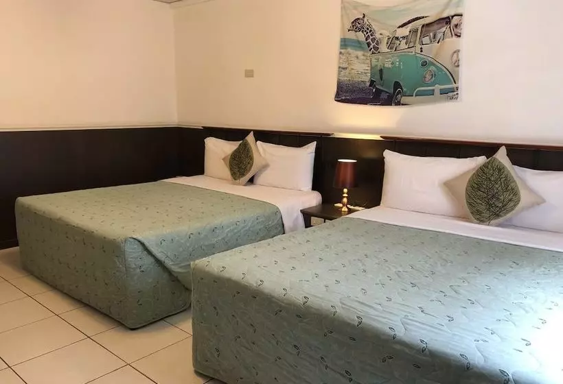 پانسیون Zhiben Zhen Warm