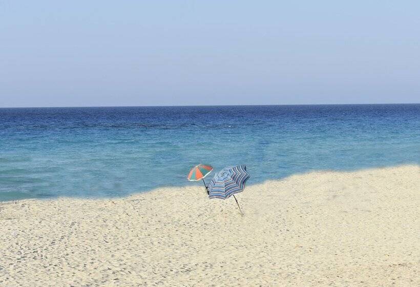 Rental Chalets Porto