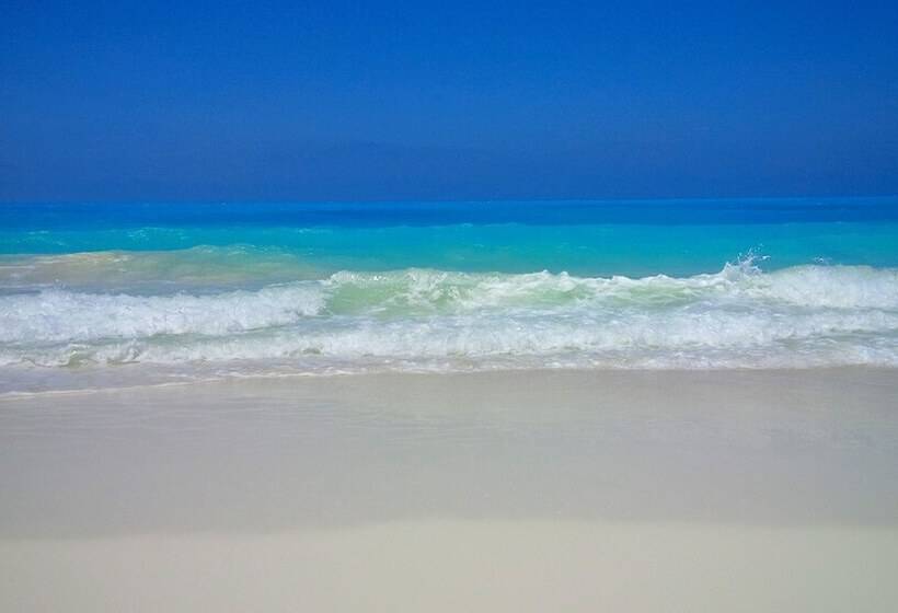 Rental Chalets Porto