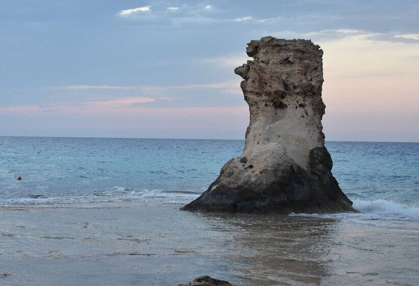 Rental Chalets Porto