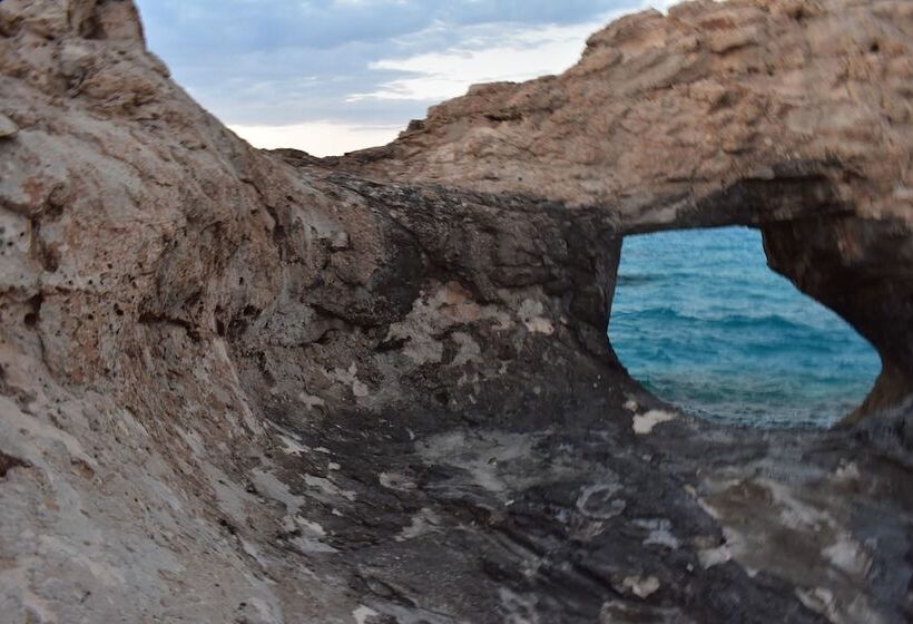 Rental Chalets Porto