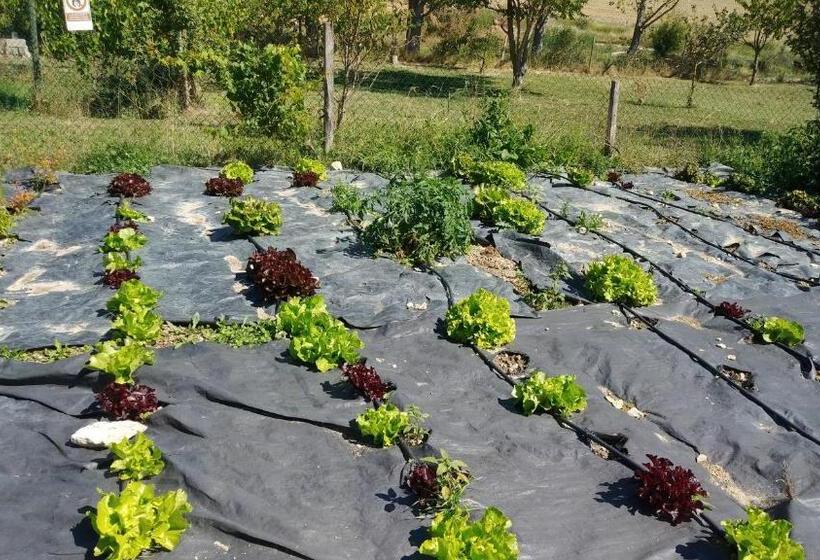 Bed and Breakfast Albergue El Condor