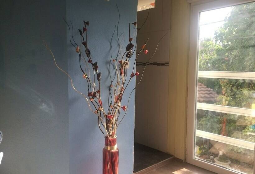 پانسیون Montenegro Central Point