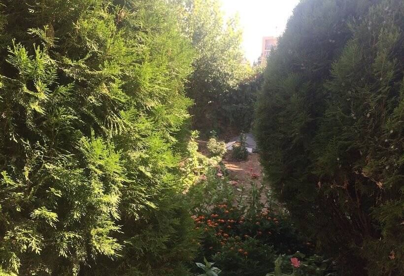 پانسیون Montenegro Central Point