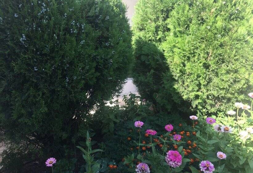 پانسیون Montenegro Central Point