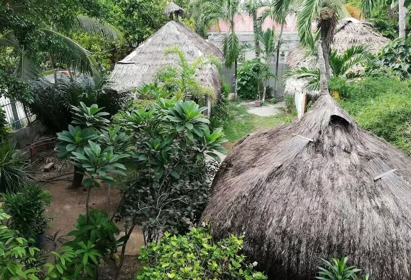 Stevrena Accommodations