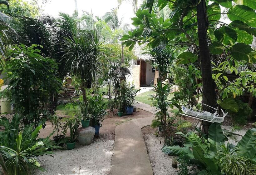 Stevrena Accommodations