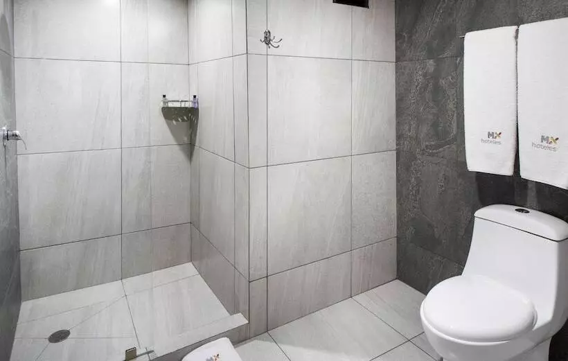 ホテル Mx Lagunilla