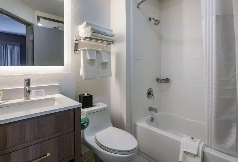 ホテル Comfort Inn