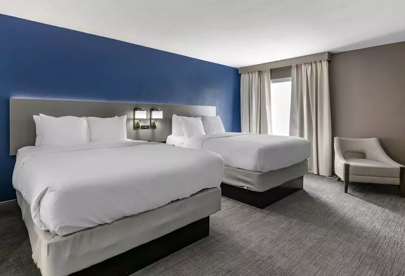 ホテル Comfort Inn