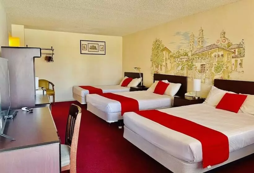 酒店 San Miguel Inn