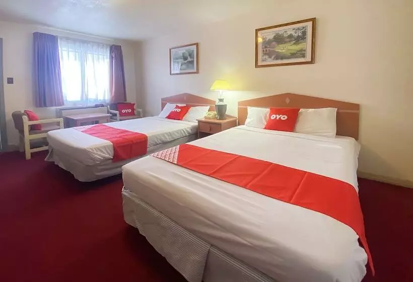 酒店 San Miguel Inn