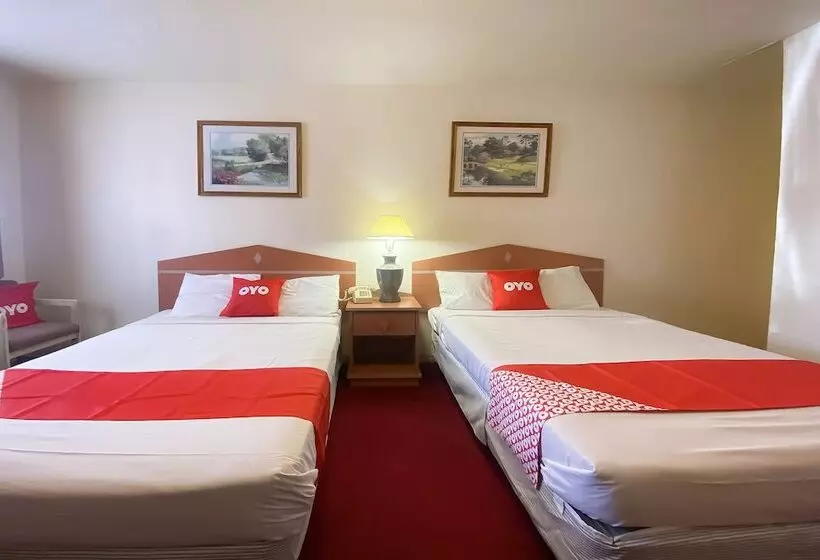 酒店 San Miguel Inn