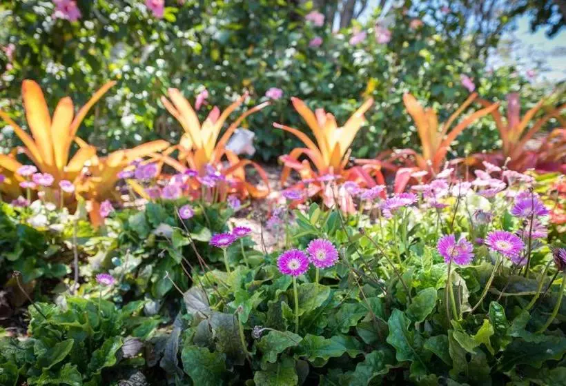 فندق Sanibel Moorings