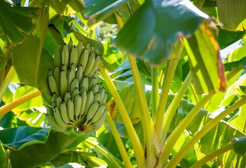 فندق Sanibel Moorings