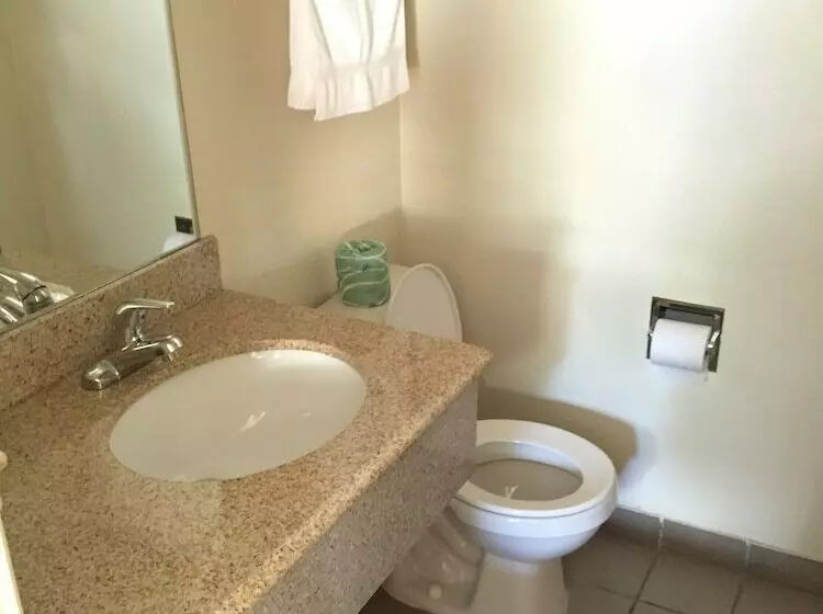 酒店 Scottish Inns