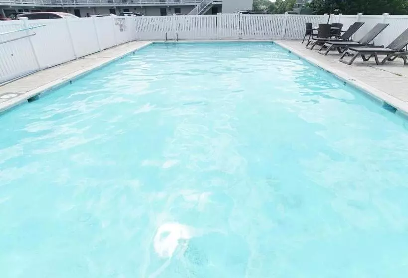 ホテル Seashire Inn & Suites
