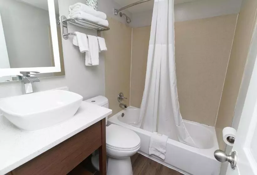 ホテル Seashire Inn & Suites