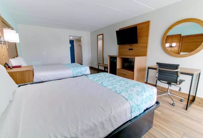 ホテル Seashire Inn & Suites