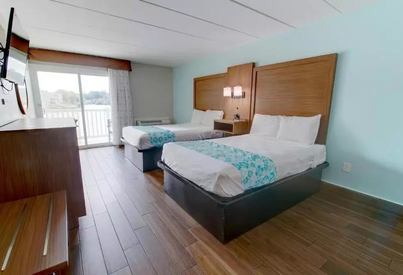 ホテル Seashire Inn & Suites