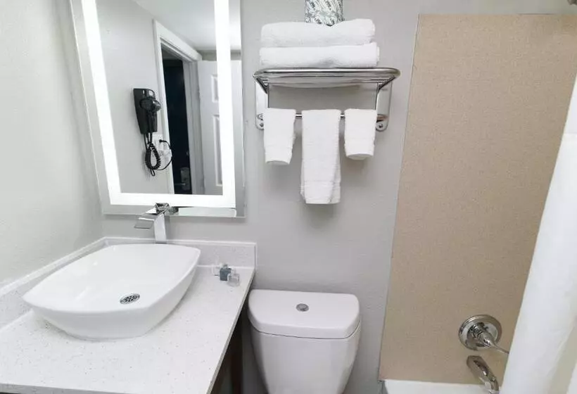 ホテル Seashire Inn & Suites