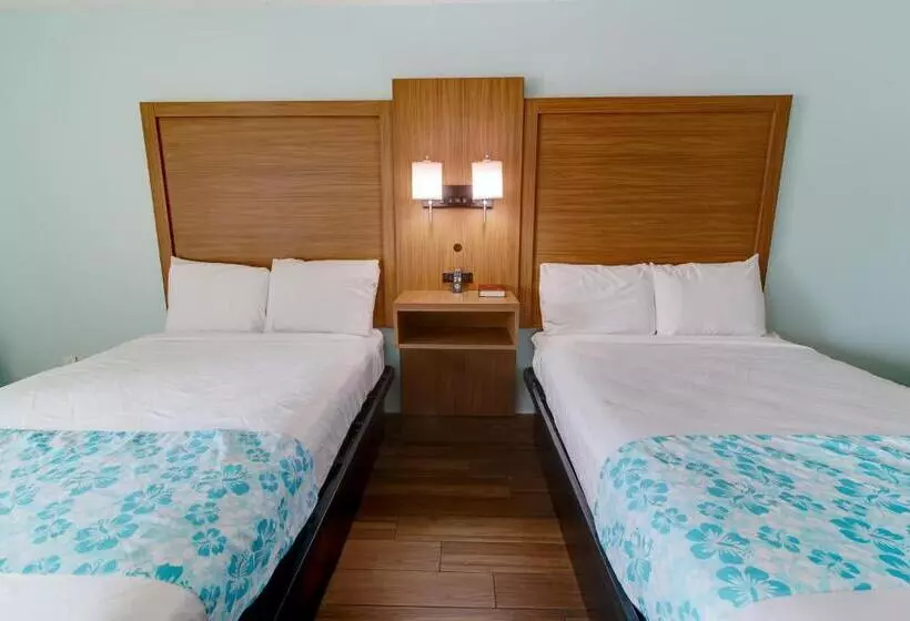 ホテル Seashire Inn & Suites