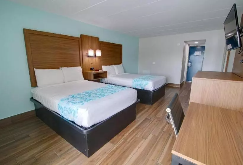 ホテル Seashire Inn & Suites