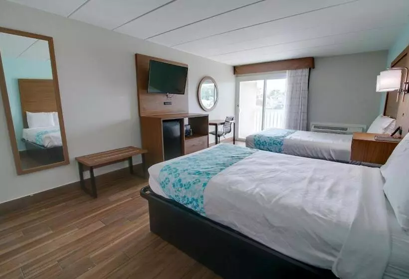 ホテル Seashire Inn & Suites