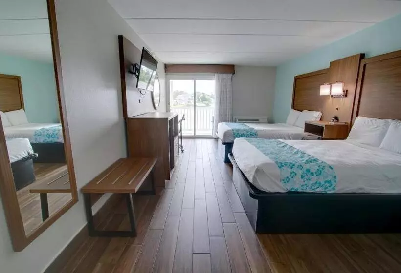 ホテル Seashire Inn & Suites