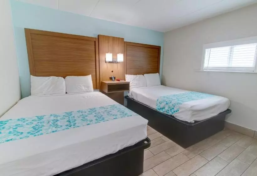 ホテル Seashire Inn & Suites