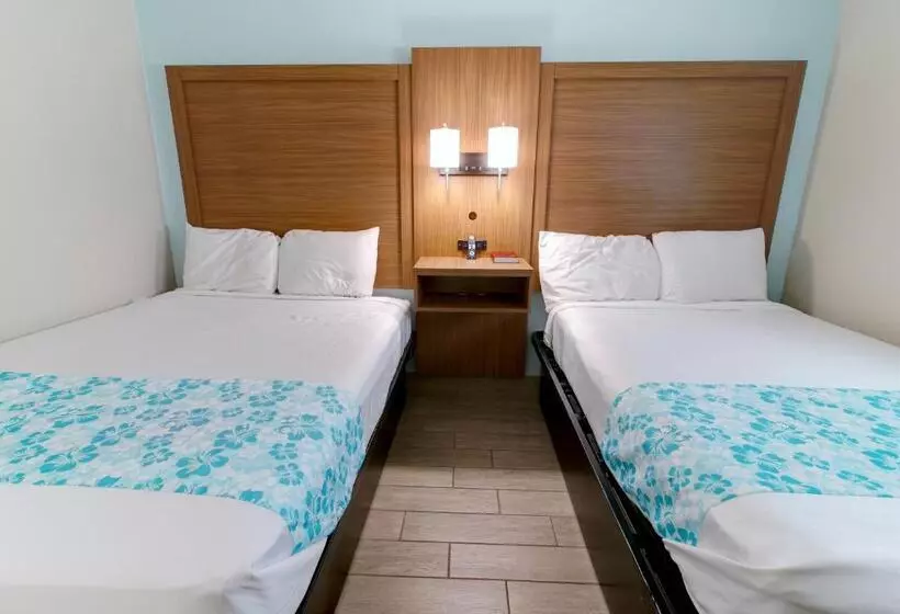 ホテル Seashire Inn & Suites