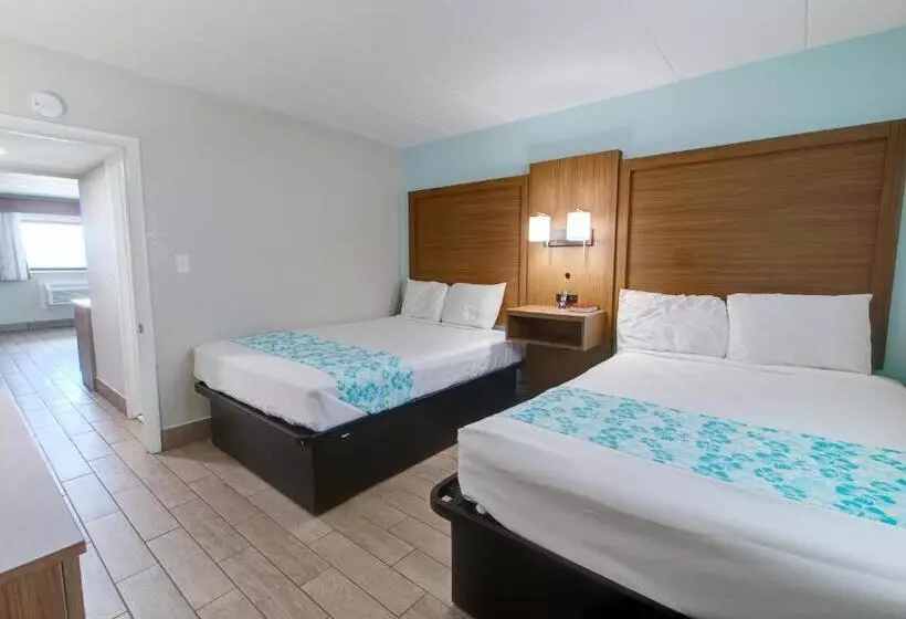 ホテル Seashire Inn & Suites