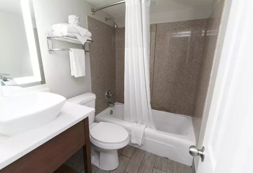 ホテル Seashire Inn & Suites