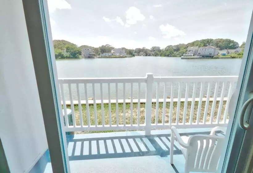 ホテル Seashire Inn & Suites
