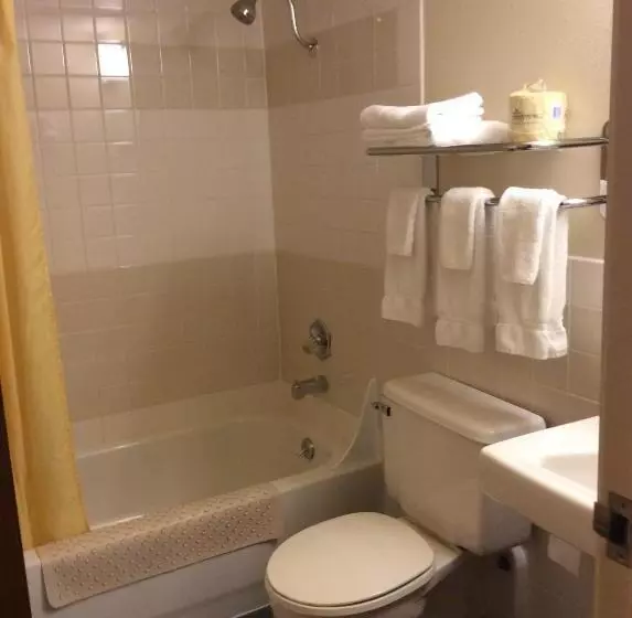 בית מלון כפרי Shelikof Lodge