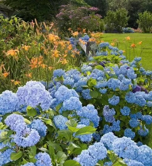 ホテル Ship S Knees Inn