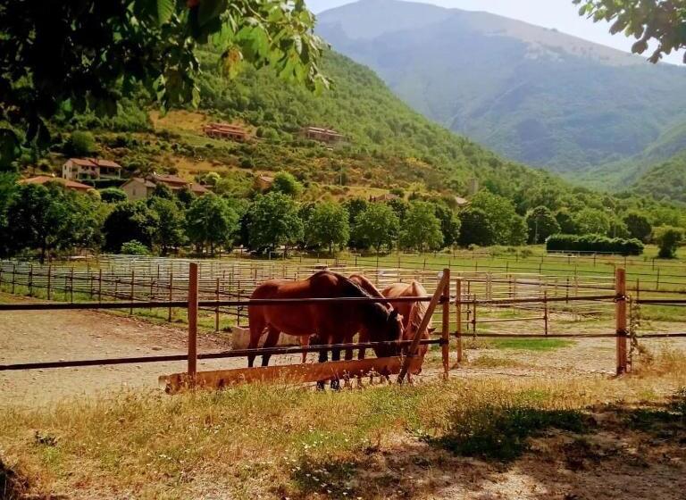 צימר Bed&breakfast La Badia