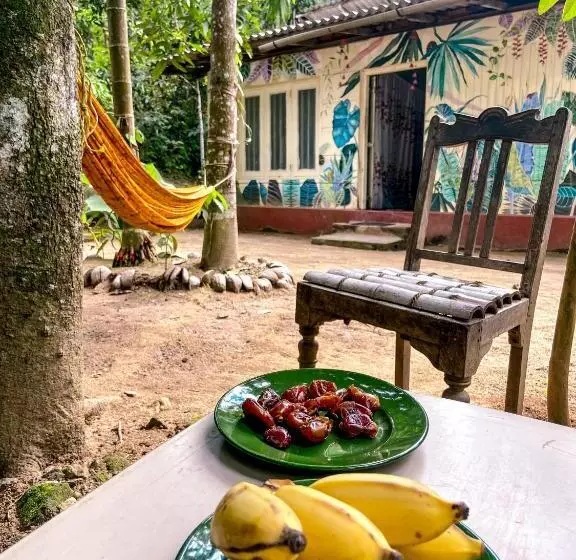 Catch The Ella Train Hostel
