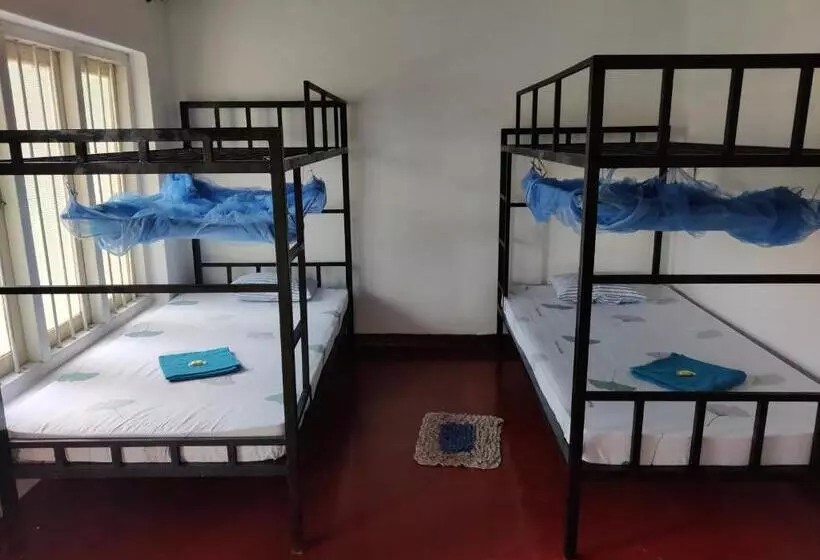 Catch The Ella Train Hostel