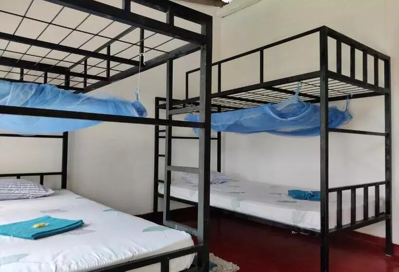 Catch The Ella Train Hostel