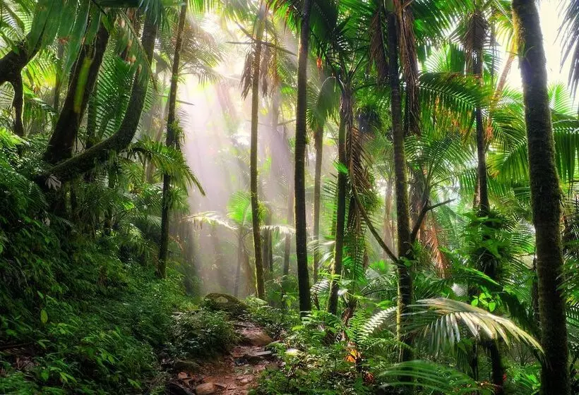 リゾートホテル Fairmont El San Juan Villa Experience