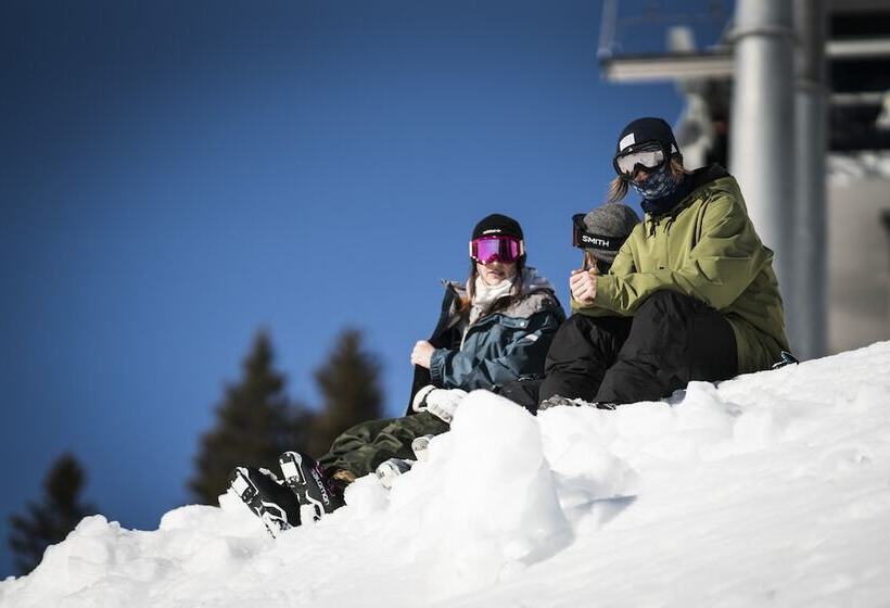 Platzhirsch Apart & Mayrhofen
