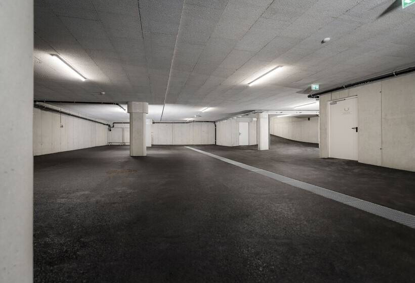 Platzhirsch Apart & Mayrhofen