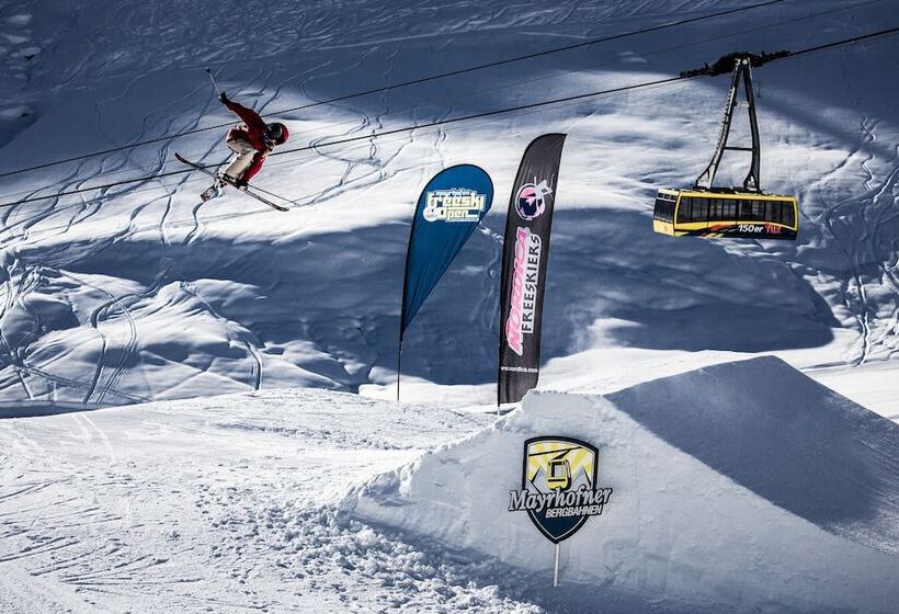 Platzhirsch Apart & Mayrhofen